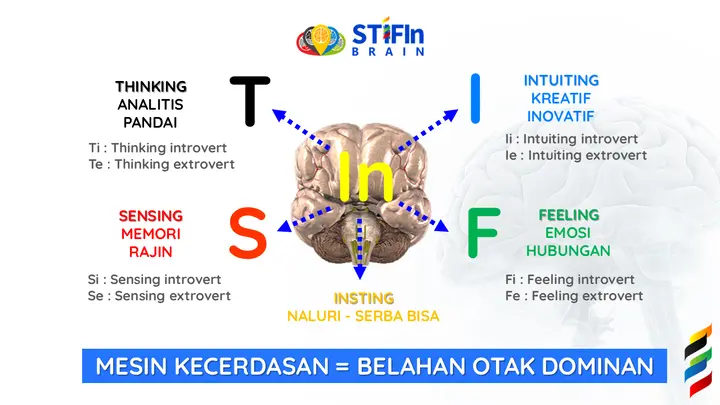 Belahan-Otak-Dominan